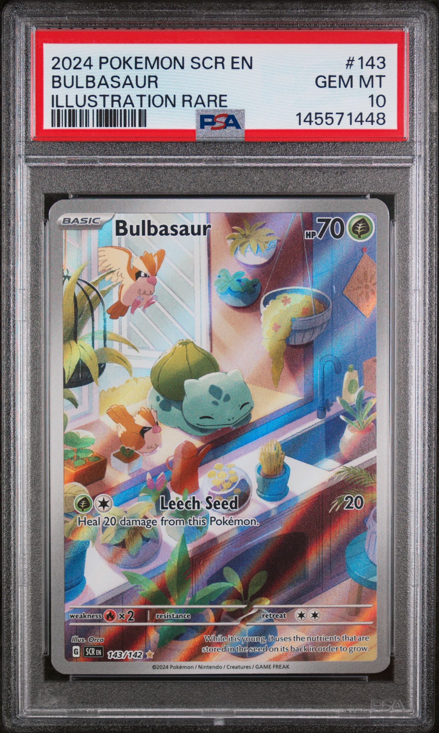 2024 POKEMON SCR EN-STELLAR CROWN BULBASAUR #143 ILLUSTRATION RARE GEM MT 10 145571448