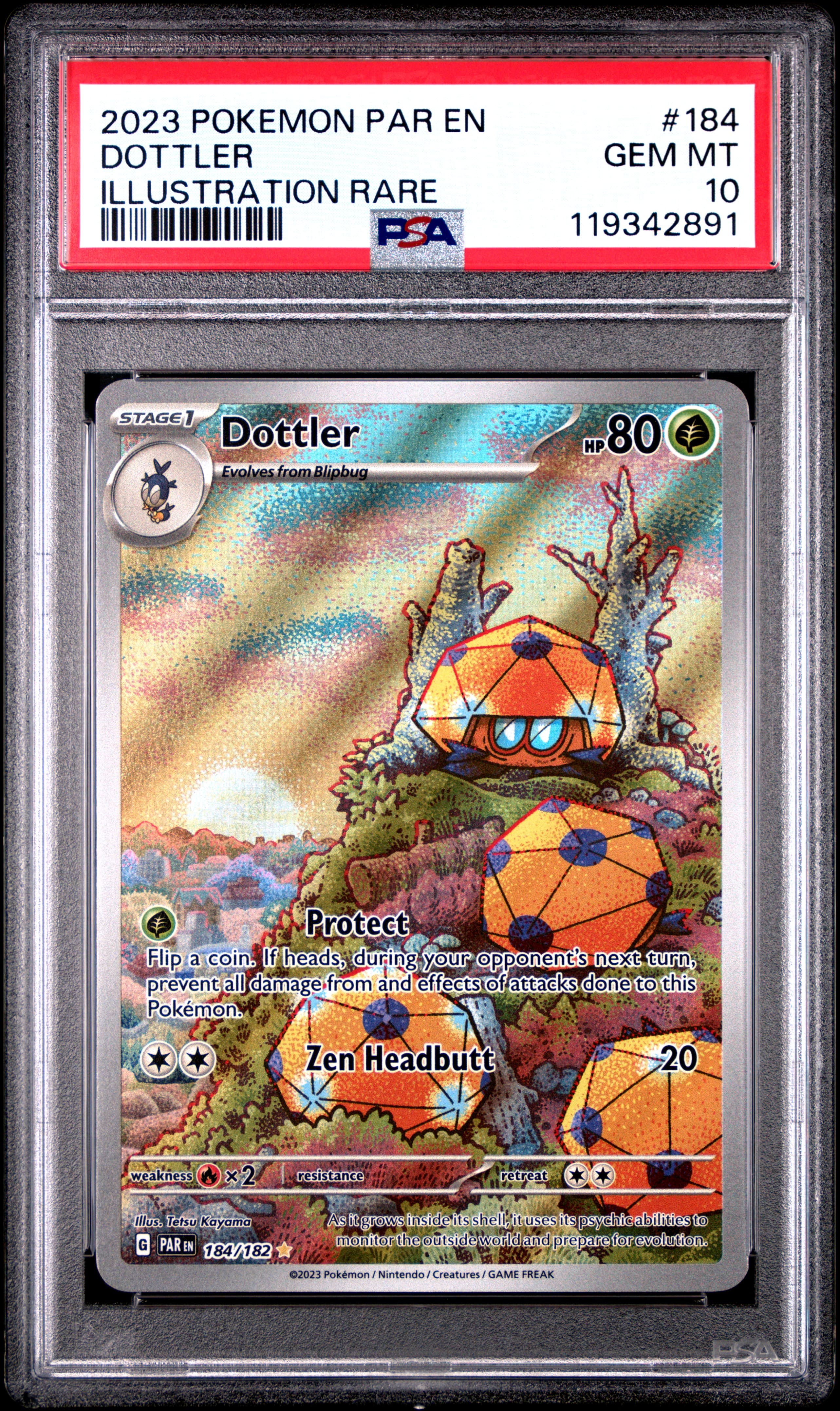 2023 POKEMON PAR EN-PARADOX RIFT DOTTLER #184 ILLUSTRATION RARE GEM MT 10 119342891