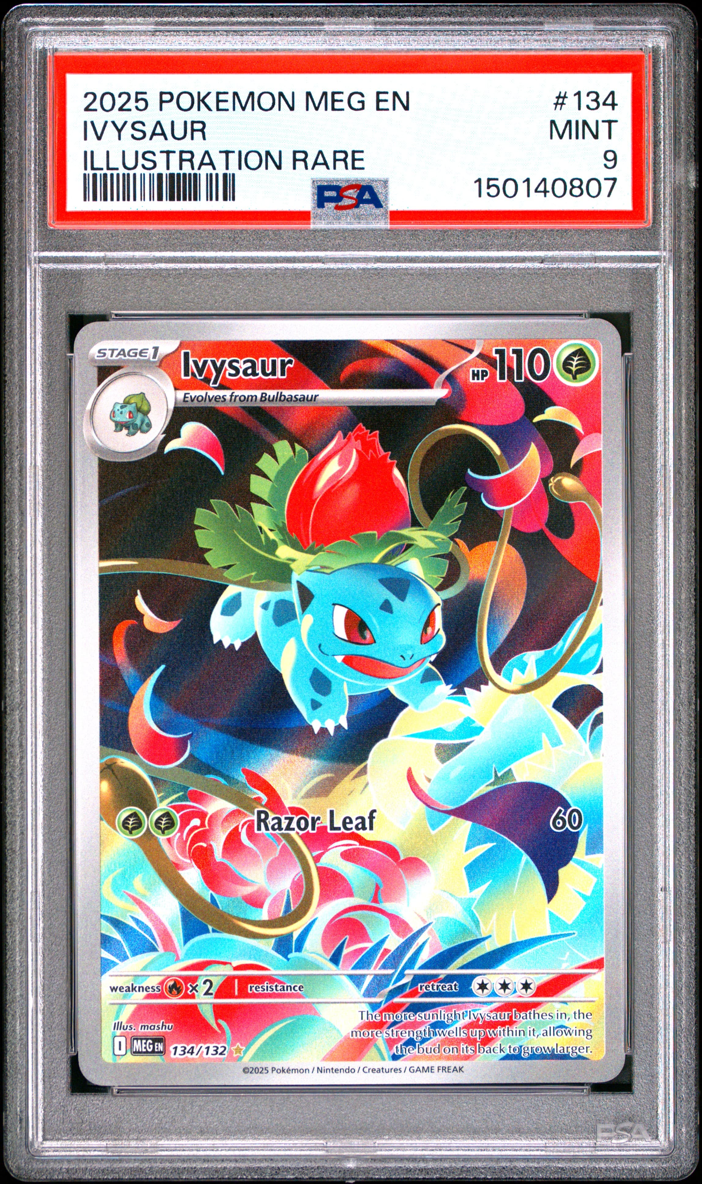 2025 POKEMON MEG EN-MEGA EVOLUTION IVYSAUR #134 ILLUSTRATION RARE MINT 9 150140807