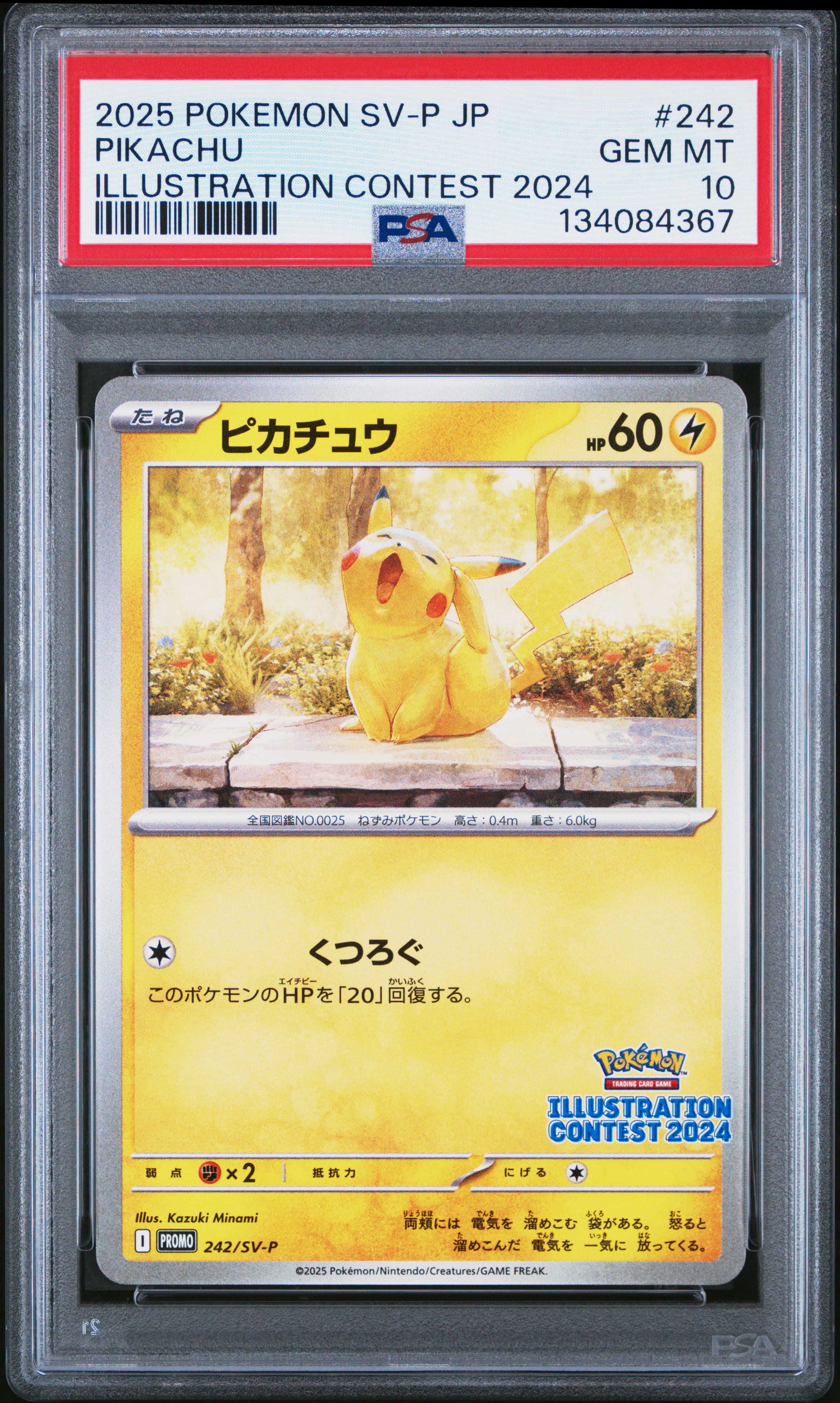 2025 POKEMON JAPANESE SV-P PROMO PIKACHU #242 ILLUSTRATION CONTEST 2024 GEM MT 10 134084367