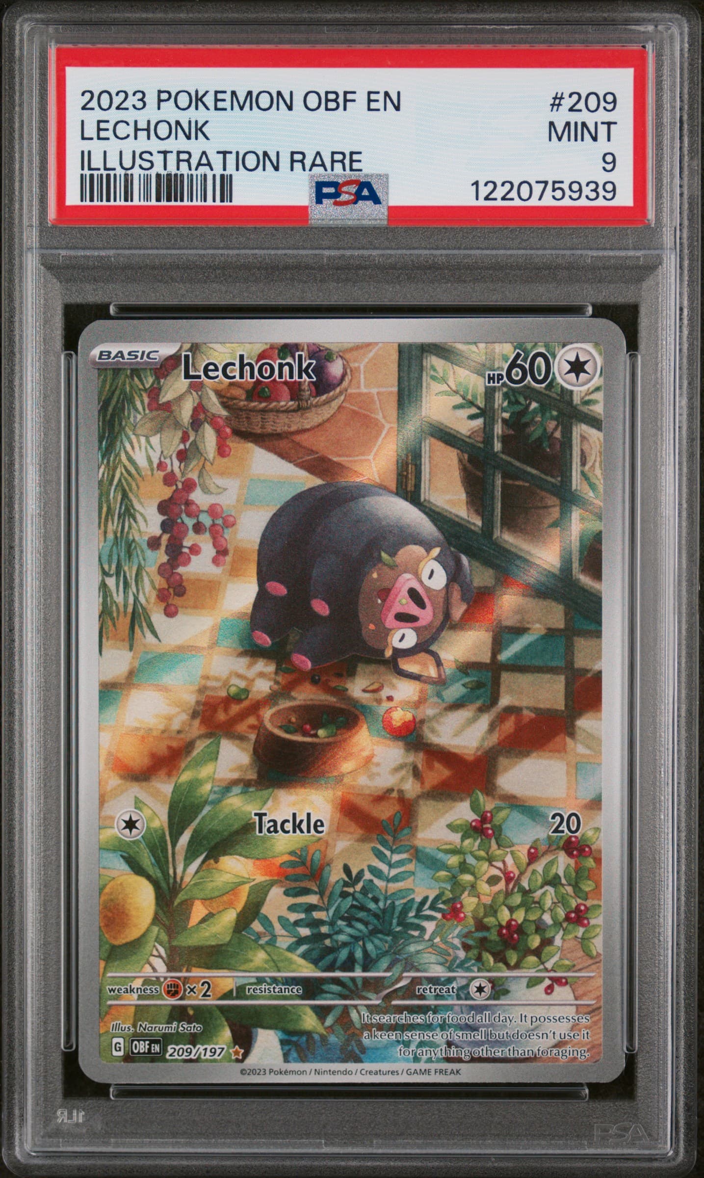 2023 POKEMON OBF EN-OBSIDIAN FLAMES LECHONK #209 ILLUSTRATION RARE MINT 9 122075939