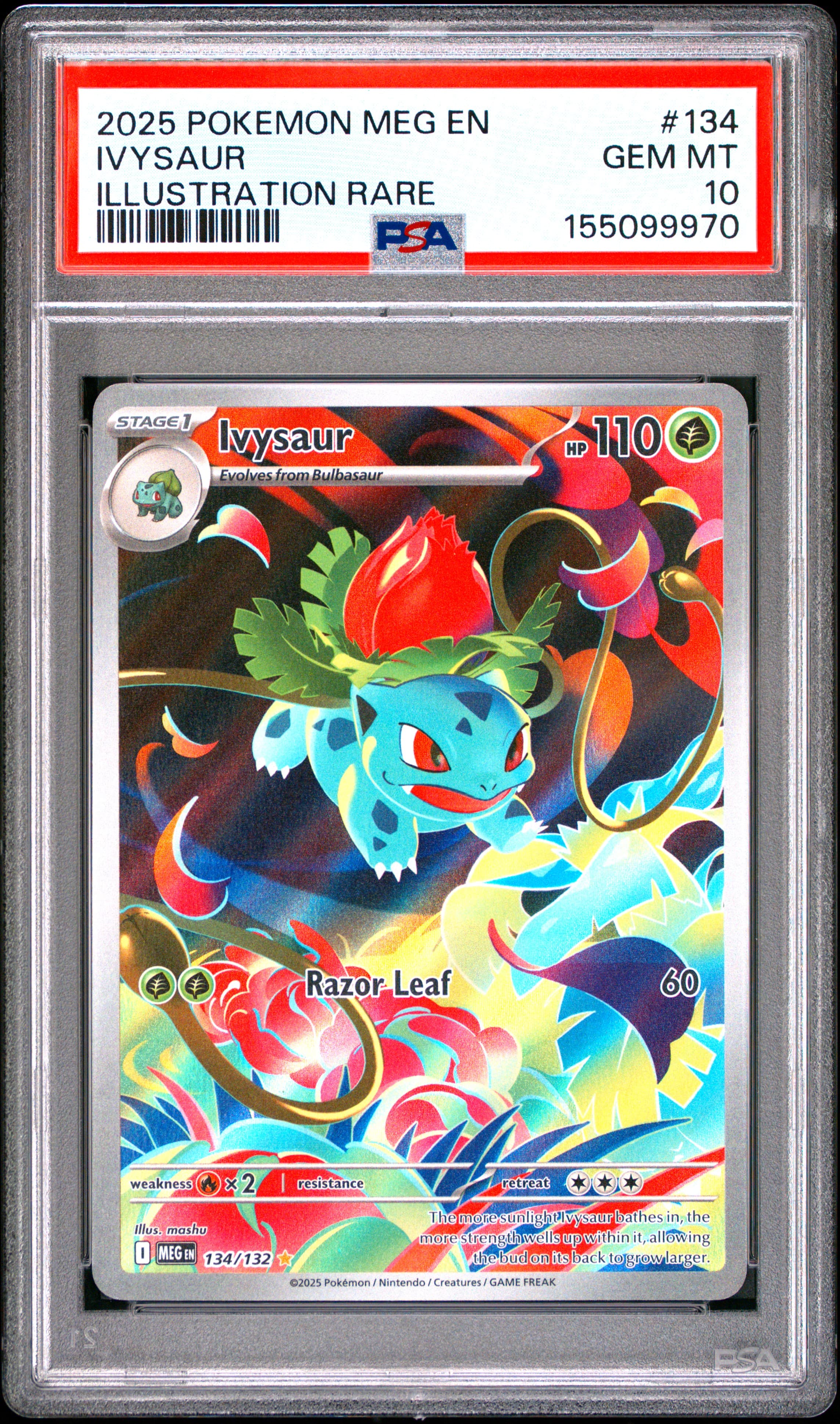 2025 POKEMON MEG EN-MEGA EVOLUTION IVYSAUR #134 ILLUSTRATION RARE GEM MT 10 155099970