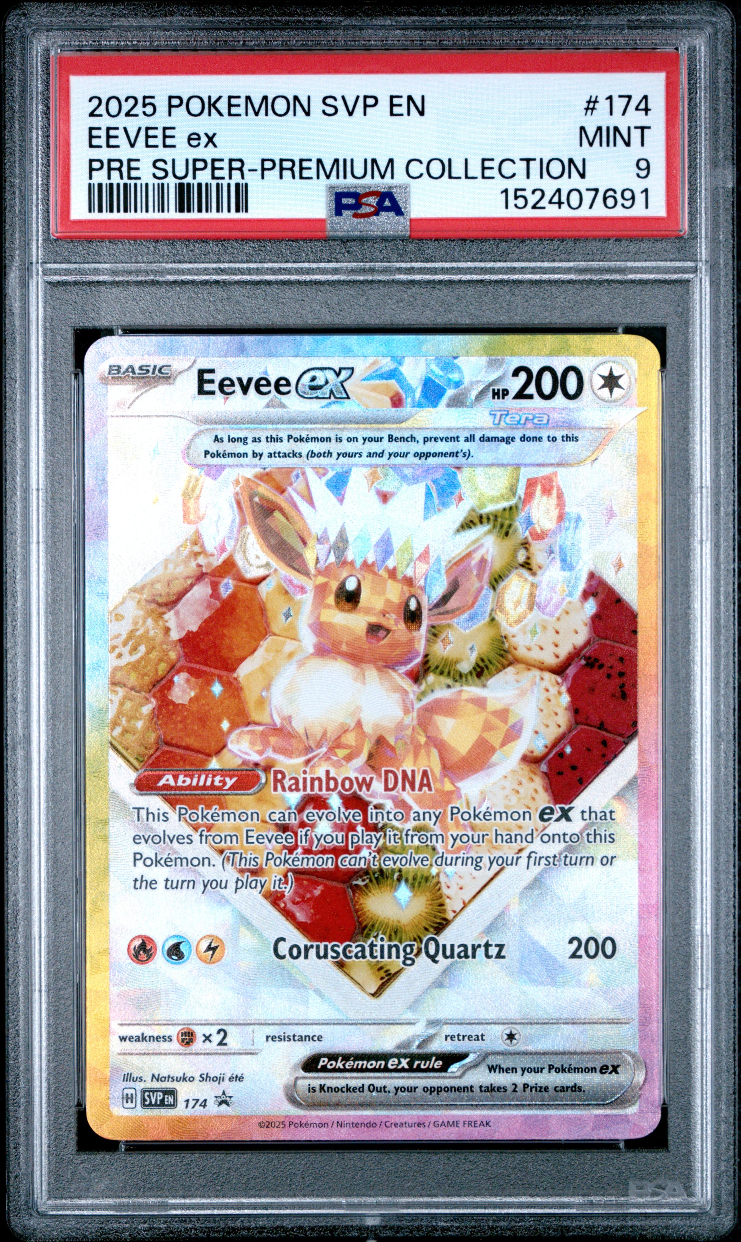 2025 POKEMON SVP EN-SV BLACK STAR PROMO EEVEE ex #174 PRE SUPER-PREMIUM COLLECTION MINT 9 152407691