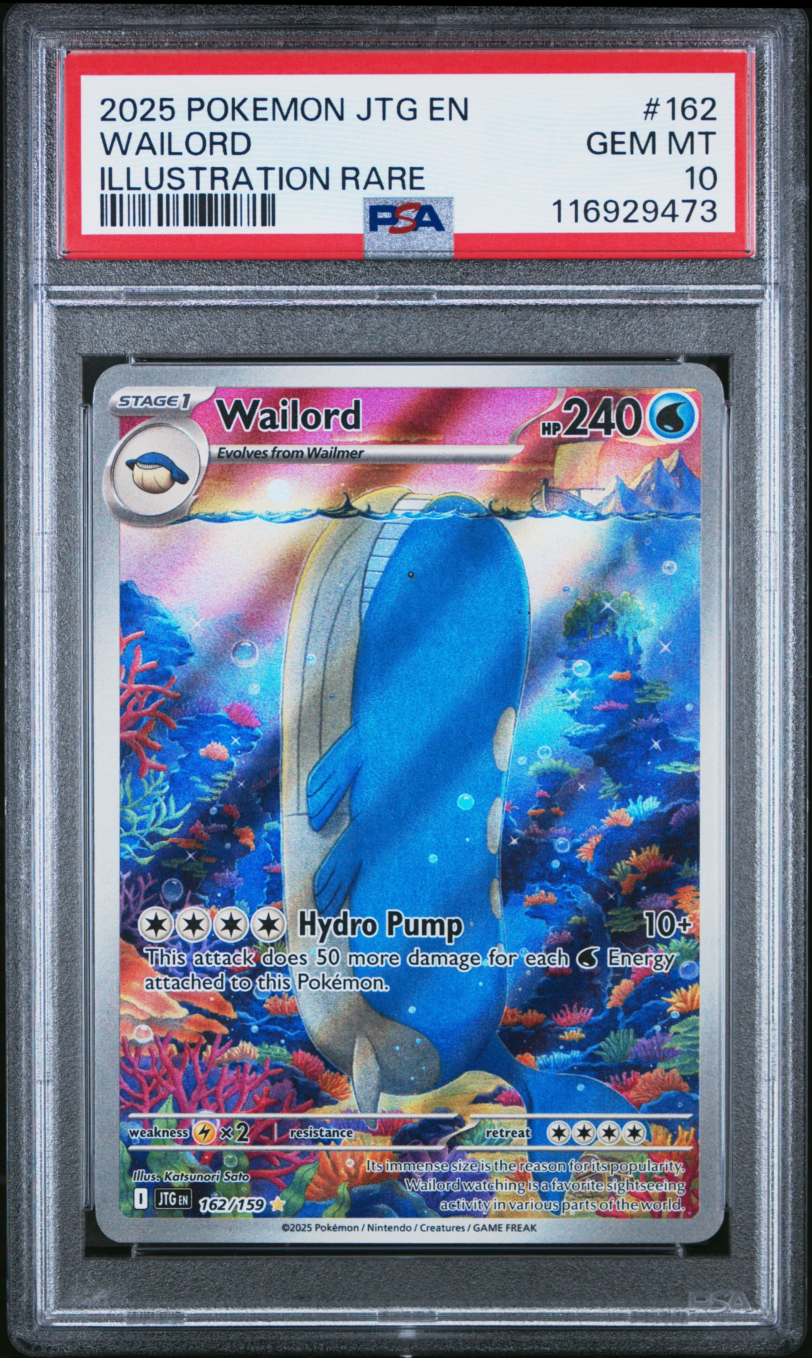 2025 POKEMON JTG EN-JOURNEY TOGETHER WAILORD #162 ILLUSTRATION RARE GEM MT 10 116929473